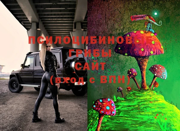 соль ск Волосово
