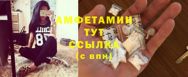 соль ск Волосово